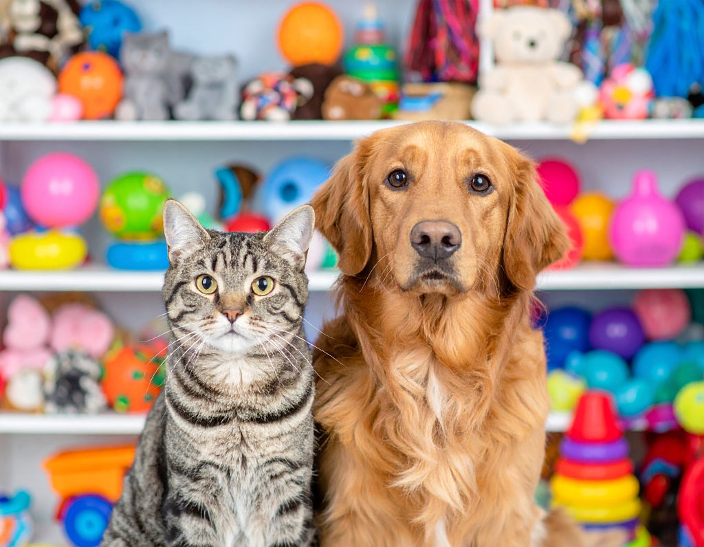 The Cat vs. Dog Toy Market Disparity