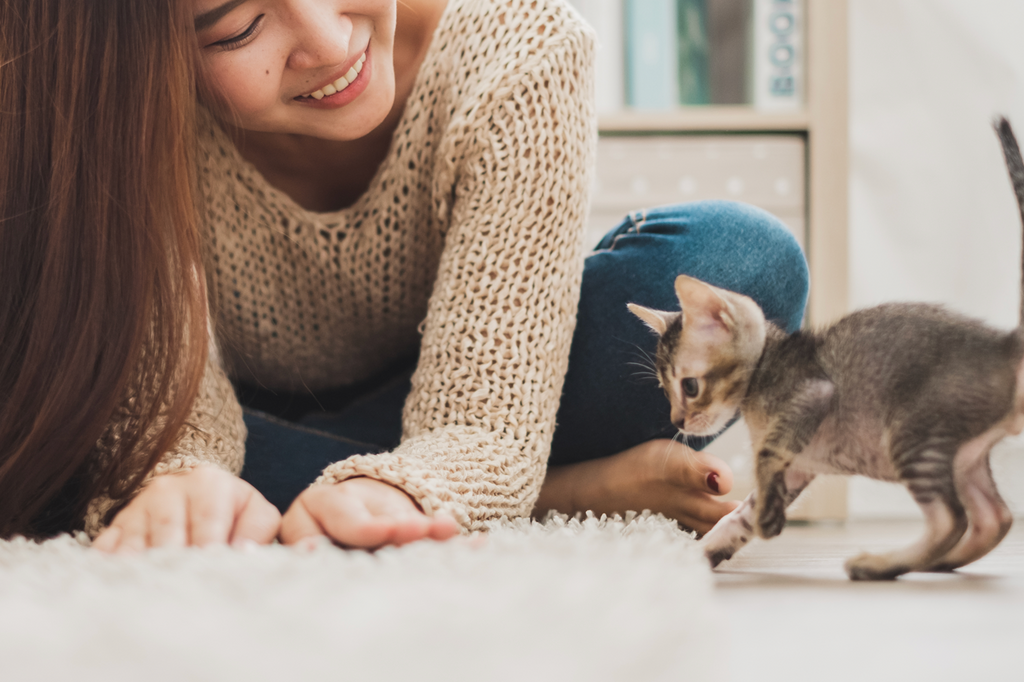 Cat Health - How important is it to play with your cat?