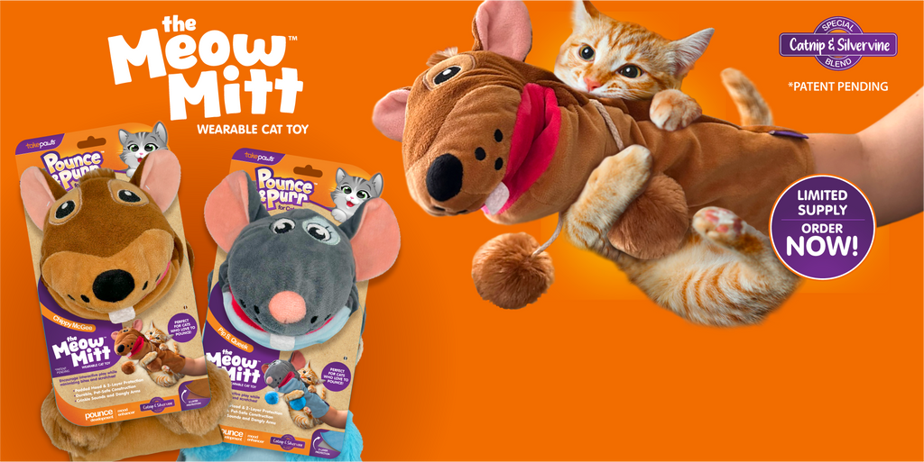 Meow Mitt cat toy interacting with orange kitten and packaging for both styles on an orange background.   Meow Mitt title in upper left corner with and information bursts.