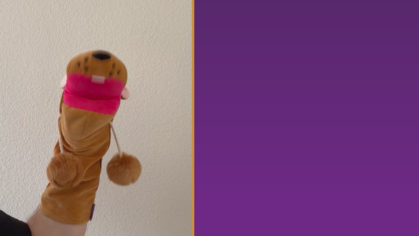 23 second Video demonstrating product features and how it's used